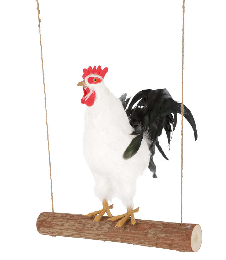 KERBL Hühnerschaukel Bonny